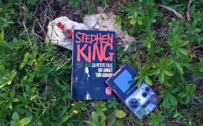 Un livre de Stephen King court et qui change de ses habitudes ! Une petite fille se perd dans la forêt.
